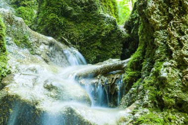 Şelalenin ipeksi suyla dolu bir ormandaki küçük şelalenin güzel manzarası, uzun süre maruz kalmanın etkisi. Yeşil yosunlarla kaplı kaya ve kayaların arasında hızlı bir dağ deresi. Yakın plan.