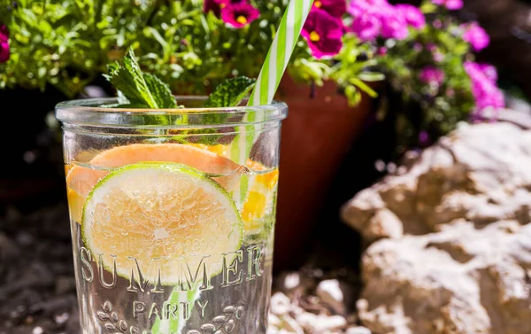 One glass glass with a cool drink, fruit slices and mint stands outdoors in the garden. In a glass is a striped green cocktail straw. Bright pink flowers in the background. Sunny day, vacation. Close-up