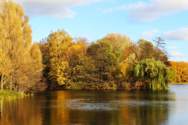 Sonbahar mevsiminde altın ağaçlar ve güneşli bir park manzarası. Renkli ağaçlar gölün durgun suyuna yansıyor. Sıcak güneşli bir gün, mavi gökyüzü. Manzaralı sonbahar manzarası