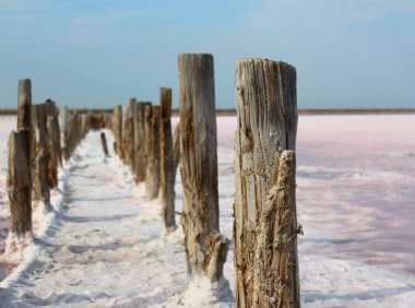 road from wooden poles on pink salt lake. concept of scenic azov, sunny background, fossil, arabat beli, halite, halobacteria, field expanse, exotic tourism post, concentrate, saltlake, old pillar clipart