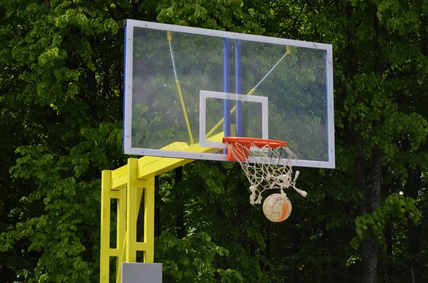 Doel Basketbalring Voetbal Tegen Achtergrond Van Groene Bomen Het Park Rechtenvrije Stockfoto's