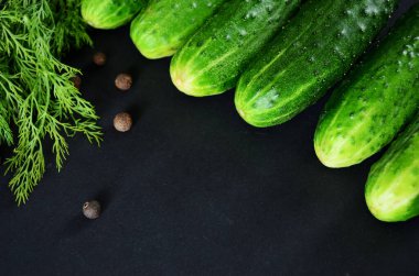 Yeşil taze salatalıklar sağ üst köşede dizilmiştir, siyah bir zemin üzerinde taze dereotu ve bezelye kokulu biber filizi ile. Yukarıdan kopyalama alanı ile görüntüle