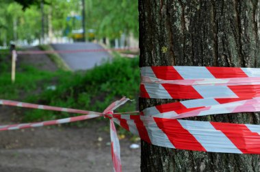 Parkta beyaz kırmızı bir çite dolanmış bir ağaç var. Arka planda boş bir bisiklet yolu var. Tehlike var, geçiş yok.,