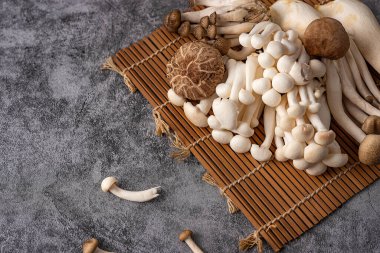 Yakın çekim / kopyalama alanındaki çeşitli mantar çeşitleri / mantar çeşitliliği