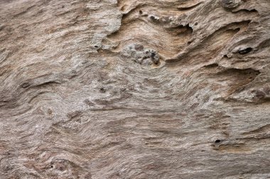 Eski ahşap zemin resmi, eski ahşap