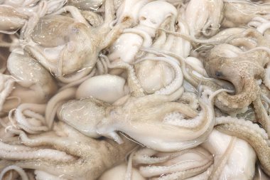 Whiteraw mürekkep balığı taze pazarda..