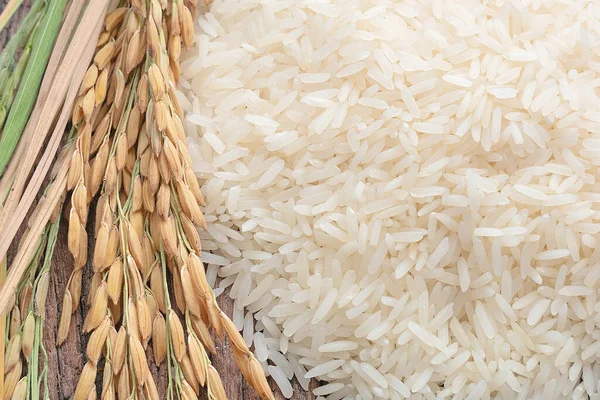 Long Grain Rice Rice White Rice Jasmine Rice Thailand — Stock Photo, Image