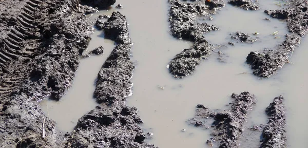 Großaufnahme Eines Bereichs Aus Feuchtem Schlamm Mit Stehendem Wasser Markiert — Stockfoto
