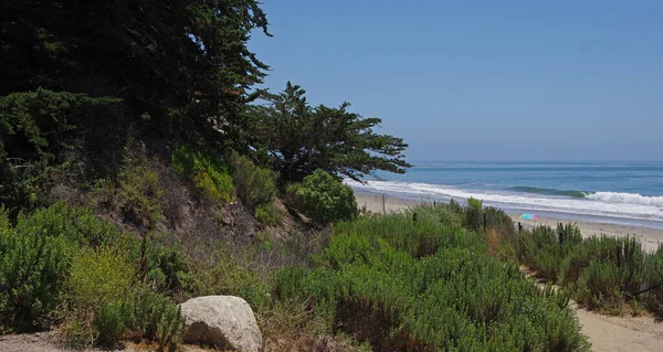 Veduta Della Vegetazione Costiera Della Spiaggia Haskell Goleta Nel Sud — Foto Stock