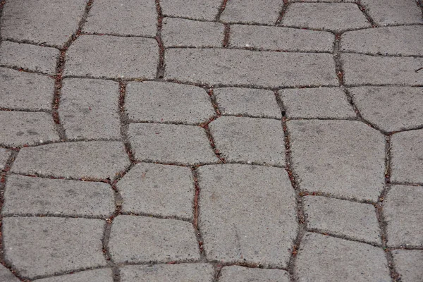 Gros Plan Vue Grand Angle Trottoir Rue Béton Avec Motif — Photo