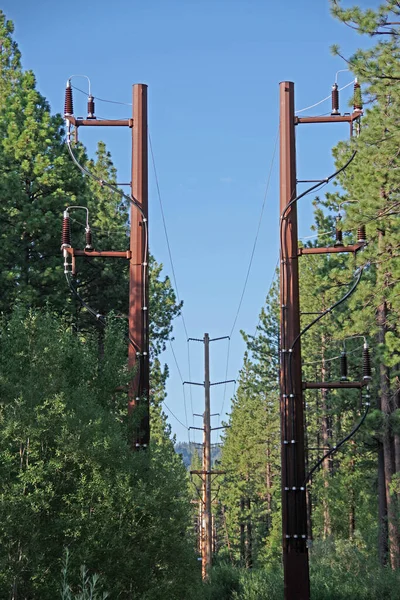 Big electricity distribution pylons with power lines through a mountain forest area seen against a bright blue sky