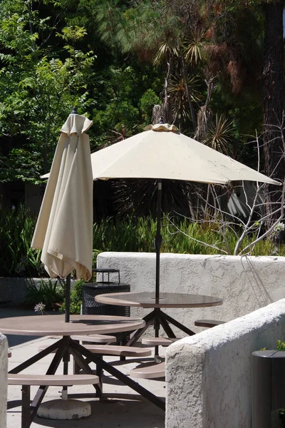 View of an empty coffee shop patio with an open umbrella in the sunshine in front of plants and trees