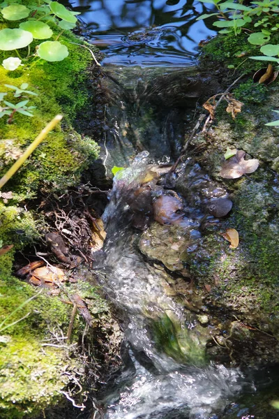 Close Van Een Kleine Waterval Die Stroomt Vanuit Een Heel — Stockfoto