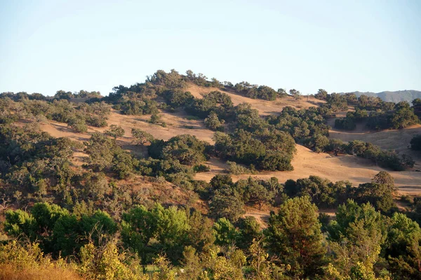 Vista Panorâmica Serra Santa Ynez Paisagem Califórnia Perto Solvang Luz — Fotografia de Stock