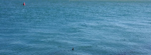 Vollbild Panoramablick Auf Das Wasser Einer Meeresbucht Mit Boje Hintergrund — Stockfoto