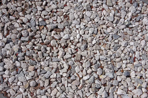 Beyaz Çakıl Taşlarından Oluşan Bir Alanın Tam Üstünden Tam Kare — Stok fotoğraf