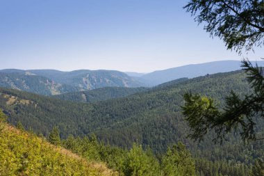 Dağlar ve iğne yapraklı ormanlar Panoraması. Yaz güneşli gün