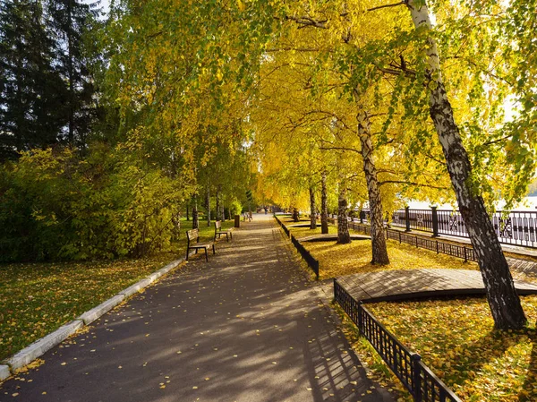 Herbstallee Stadtpark Stadtbild — Stockfoto