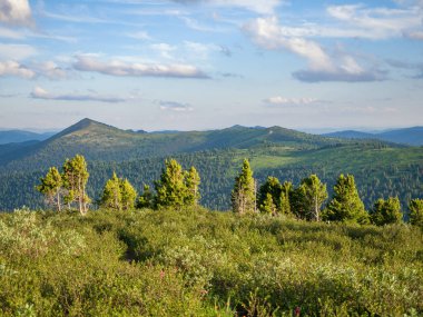 Ergaki doğa parkında manzara. Batı Sayan dağlarında güneşli bir gün