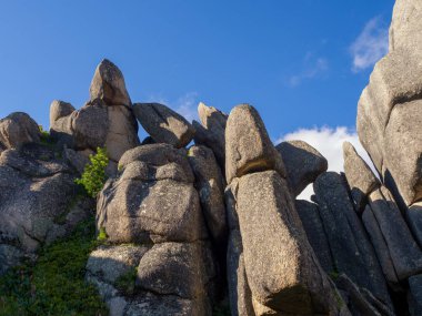 Ergaki doğa parkında süslü taşlar yığını. Sibirya yaban hayatı