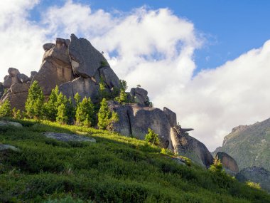 Batı sayan 'ın Tepesi üzerinde Rocks ve Genç sedir. Ergaki Doğa Parkı