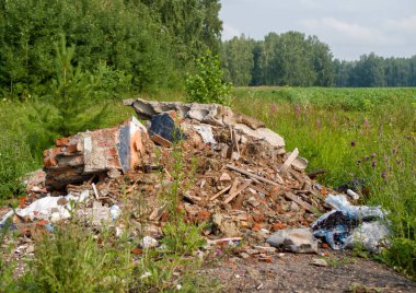 Güzel doğasında bir çöp yığını yatıyor. Ekolojik problemler