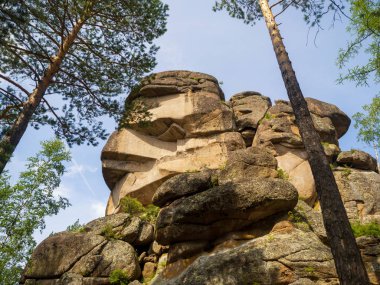 Kaya Görünümü Büyükbaba güneşli yaz günü. Doğa rezervi Stolby. Krasnoyarsk City, Sibirya, Rusya Federasyonu