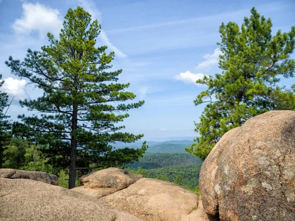 Zwischen Den Felsen Wachsen Nadelholz Zedern Blick Auf Einen Großen — Stockfoto