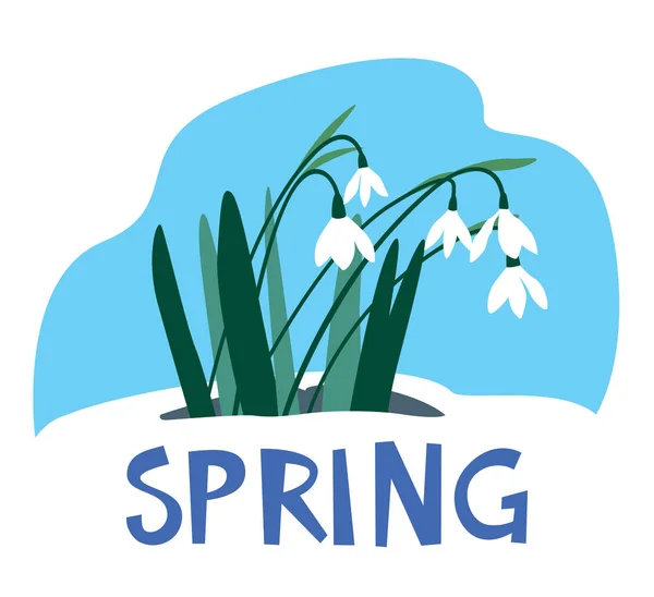 Wiosna Listów Kwiaty Kropli Śniegu Kwitły Wektor Pełny Kolor Ręcznie — Wektor stockowy