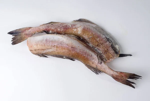 Frozen Carcasses Pollock Fish White Background Top View — Stock Photo, Image