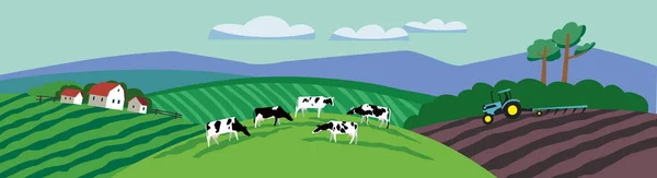 Panorama Rural Las Vacas Pastan Los Prados Tractor Araña Los — Archivo Imágenes Vectoriales