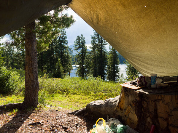 View of the wildlife from under the awning. Camp on a wild lake in coniferous taiga