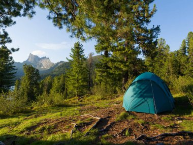 Vahşi doğadaki turist çadırı. Kozalaklı ormanlar. Taiga 'da güneşli bir gün