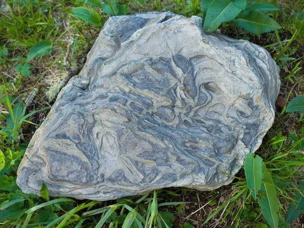 Mooie Grijze Steen Met Een Natuurlijke Textuur Het Gras Wilde — Stockfoto