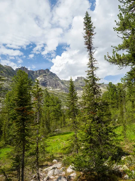 Płoń Lesie Iglastym Tle Skał Park Naturalny Ergaki Syberyjskie Góry — Zdjęcie stockowe