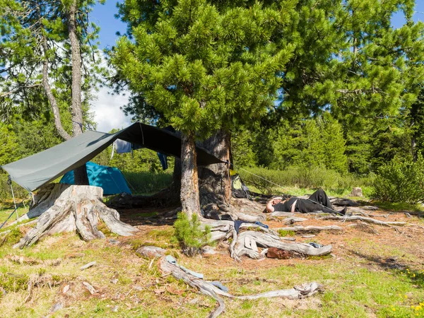 Campamento Turístico Entre Los Cedros Día Soleado Verano Bosque Coníferas —  Fotos de Stock