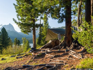 Sedir ağaçları arasında bir turizm kampı. Kozalaklı ormanda güneşli bir yaz günü