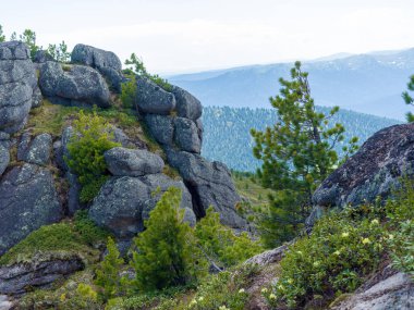 Ergaki doğa parkında tuhaf bir kaya. Sibiryalı Sayanlar. Yaz güneşli bir gün