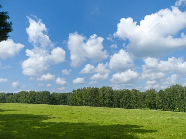 Lapangan Hijau Dan Hutan Awan Langit Biru Musim Panas Cerah — Stok Foto