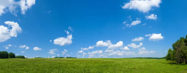 Padang Rumput Hijau Panorama Dan Ladang Awan Putih Langit Biru — Stok Foto