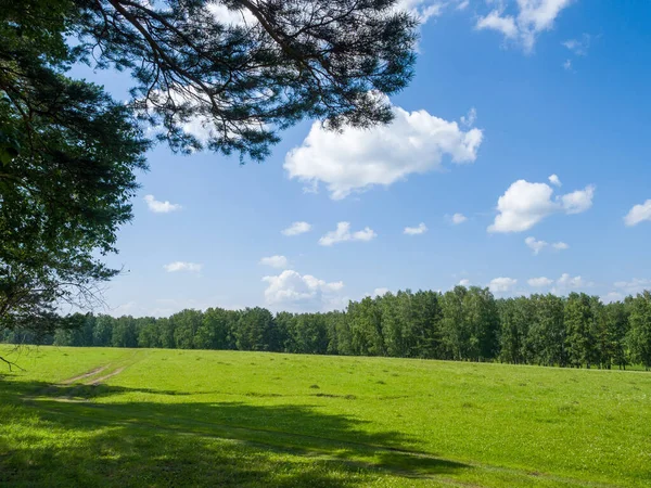 Lapangan Hijau Dan Hutan Awan Langit Biru Musim Panas Cerah — Stok Foto