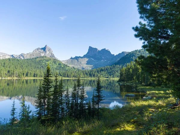 Jezioro Dziczy Lasy Iglaste Syberii Park Przyrody Ergaki — Zdjęcie stockowe