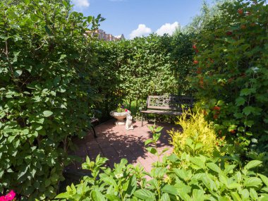 Bahçe parkının tenha bir köşesinde bankta. Bahçe düzenleme. Yaz güneşli bir gün