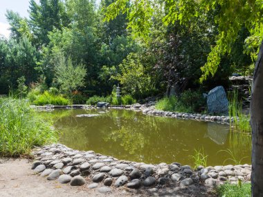 Fabrika parkında bir gölet. Doğu tarzı. Bahçe düzenleme. Yaz güneşli bir gün