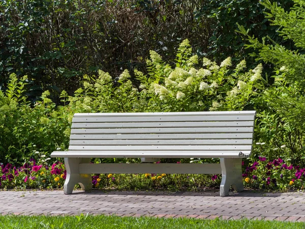 Stylish Wooden Bench Garden Summer Sunny Day — Stock Photo, Image