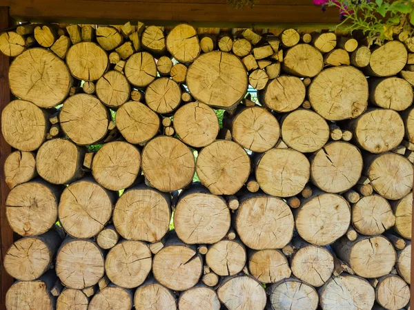 Ściana Brzozowych Klocków Końce Drewna Tworzą Naturalną Fakturę Dekoracja Ogrodu — Zdjęcie stockowe