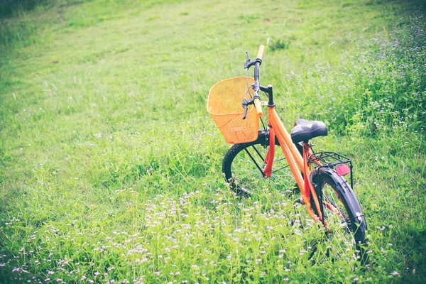 緑の背景のヴィンテージ オレンジ色の自転車 — ストック写真