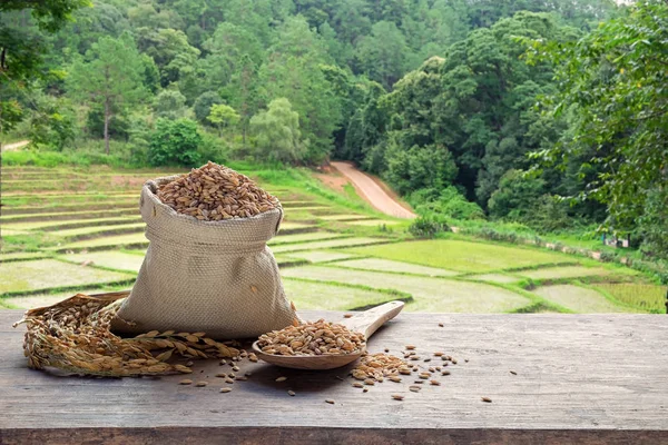 Paddy Een Zak Een Houten Lepel Met Terrasvormige Rijst Veld — Stockfoto