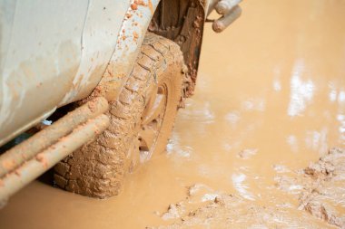 Bir ormana düşmüş bir ağacın gövde ile toprak yolda otomobil lastiği.