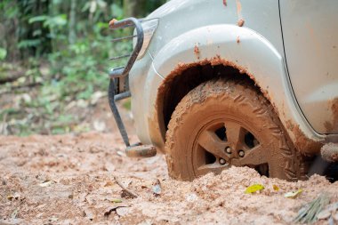 Bir ormana düşmüş bir ağacın gövde ile toprak yolda otomobil lastiği.